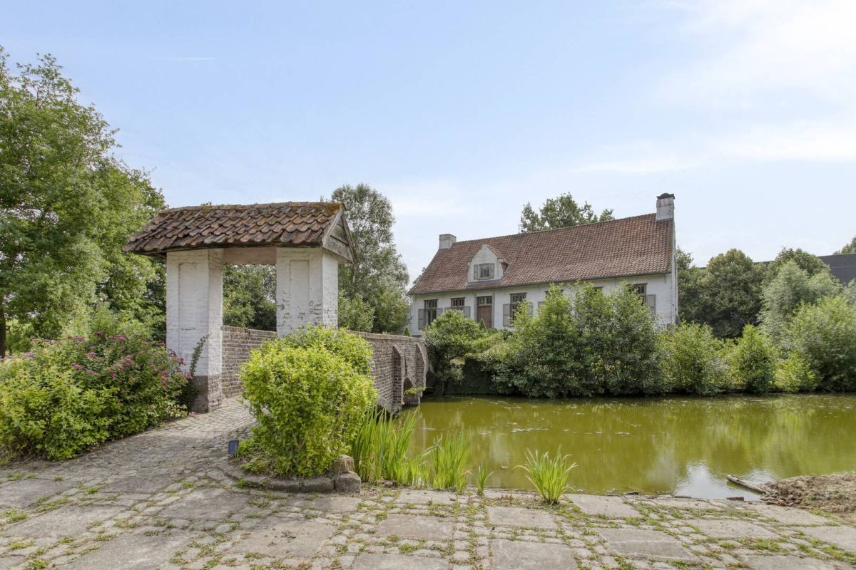 Fruitbedrijf met 2 woningen op circa 18 ha te koop te Kluisbergen - foto 5