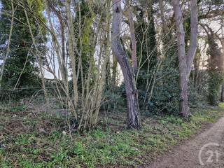 Mooie bouwgrond te koop in Tremelo!Een prachtig, achterliggend perceel bouwgrond van 13 are 33 ca. Landelijk en in het groen En toch kortbij het...