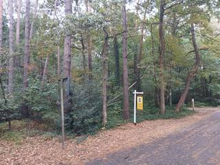 Ontdek deze prachtige bosgrond gelegen in het pittoreske Zoersel, met een royale oppervlakte van 2030m² in een groen en bosrijk gebied. Gelegen aan...