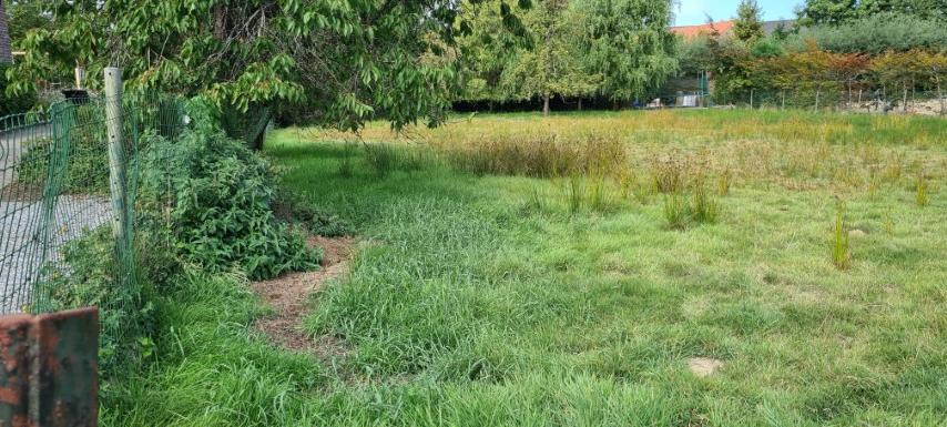 Terrain à vendre à Hoegaarden - photo 4