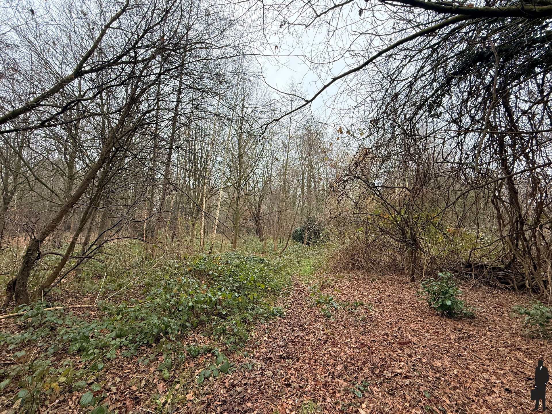 Prachtig gelegen agrarisch gebied/bos nabij fort van Duffel - foto 3