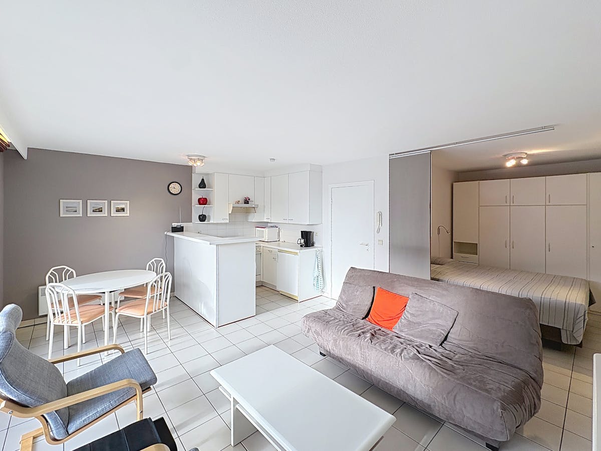 Spacious studio with sleeping corner and sun-facing terrace - photo 3