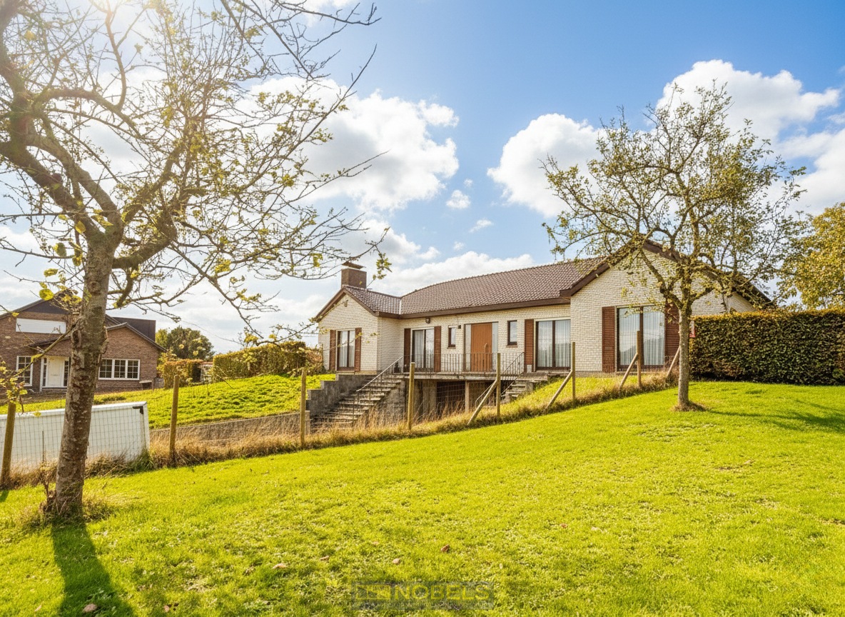 Te koop, villawoning met grote kelder en groen zicht nabij Ronse - foto 1