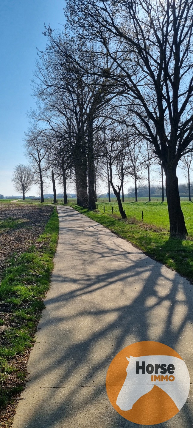 DIEPENBEEK - Unieke woning op +/- 52a - foto 4