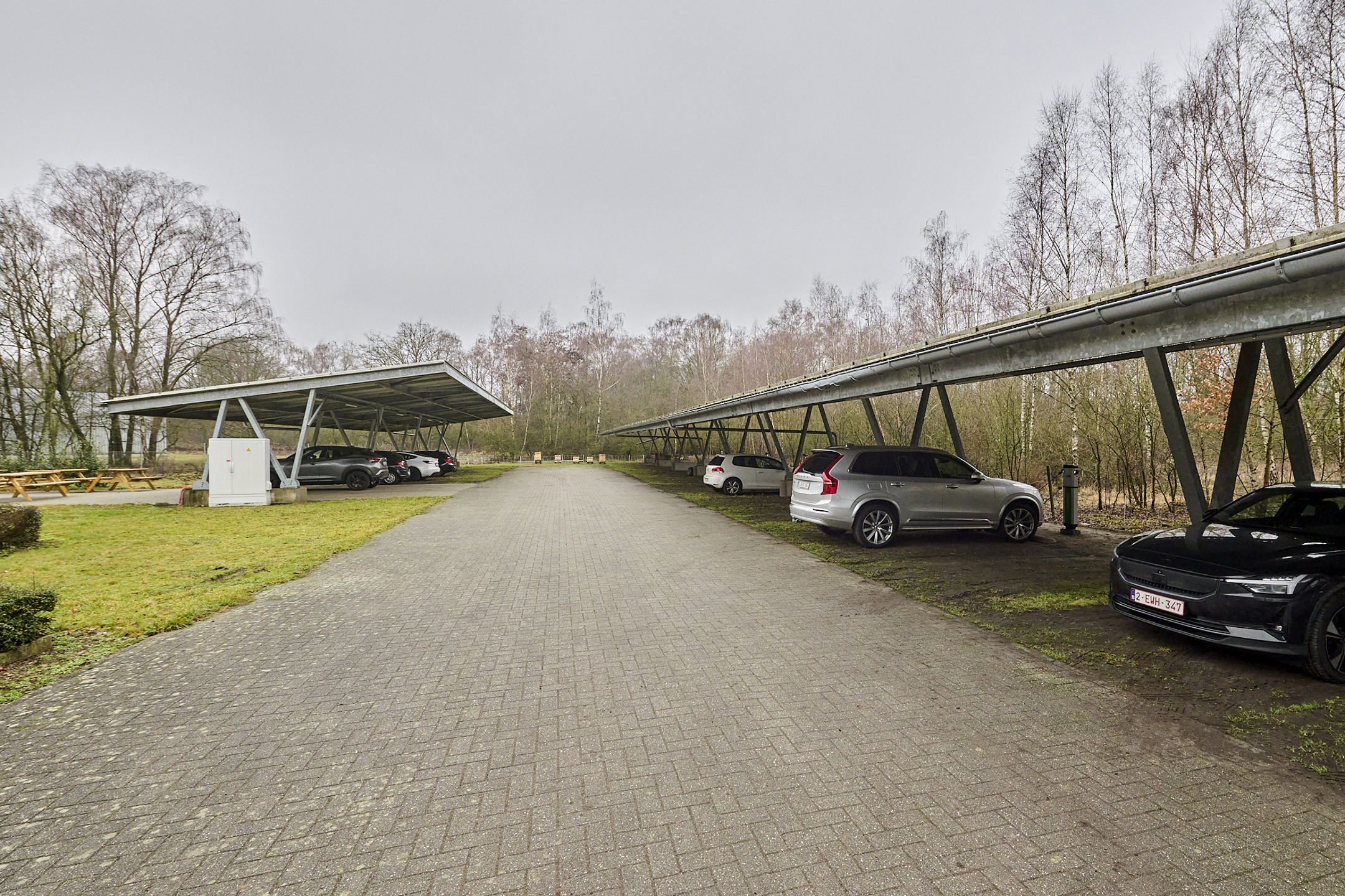 Commercial à louer à Houthalen-Helchteren - photo 5