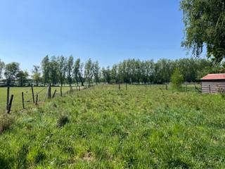 <p>Bent u op zoek naar een locatie met grote tuin en/of weide voor uw dier? Ziet u op tegen verbouwingswerken? Mis deze kans niet!</p>
<p>Op dit ZUIDGERICHT perceel bouwgrond met AANPALENDE WEIDE kunt uw eigen droomwoning laten ontwerpen.</p>
<p>De ligging in “Woongebied met landelijk karakter” vat alles samen. Aan de voorzijde geniet u van het comfort dat alle nutsvoorzieningen in de straat aanwezig zijn. Vanuit de te bouwen woning en tuin geniet u van een adembenemend open zicht over de velden (agrarisch gebied). U waant er zich in de wijdse natuur en u bent slechts een steenworp verwijderd van alle mogelijke winkels te Maldegem.</p>
<p>Daarnaast is er een vlotte verbinding met Brugge, de kust, de N49 en de E40 via Aalter.</p>
<p>Contacteer Bonne Vastgoed 7 op 7 voor meer info of bezoek via 0468104040 of info@bonnevastgoed.be</p>