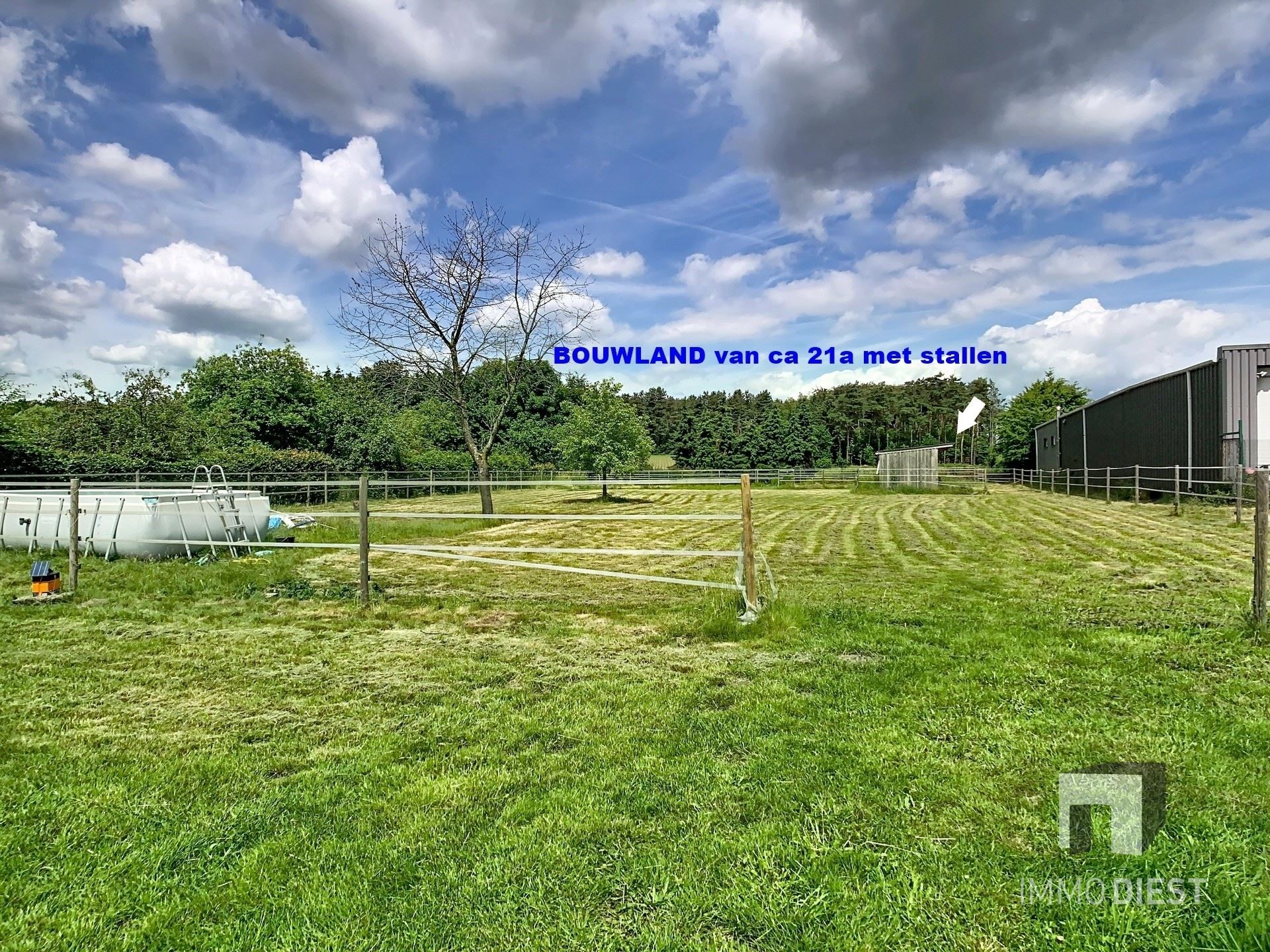 Gelijkvloerse instapklare woning met grote tuin op ca. 39a - foto 5