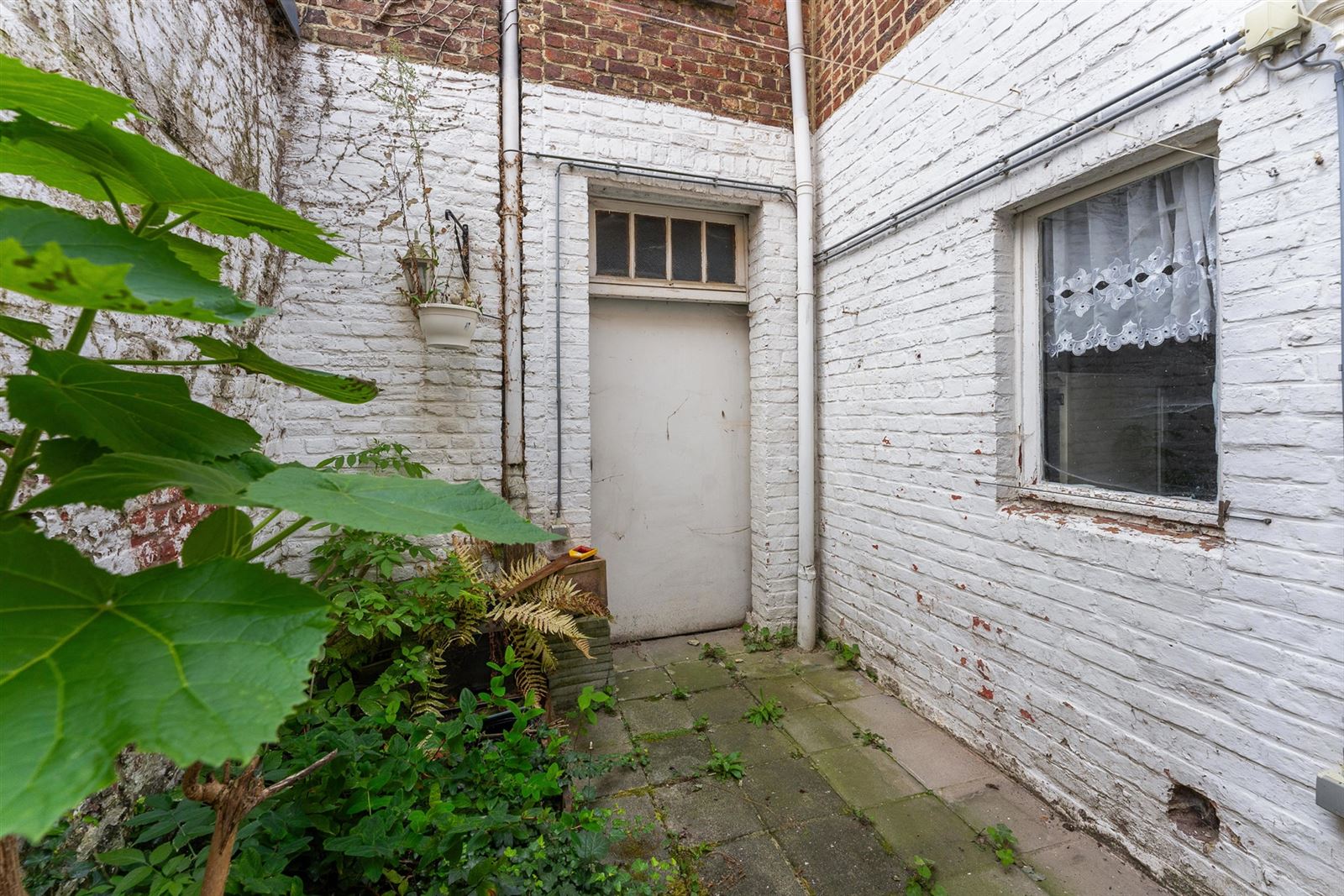 Maison à vendre à Tongres-Borgloon avec 2 chambres - photo 2