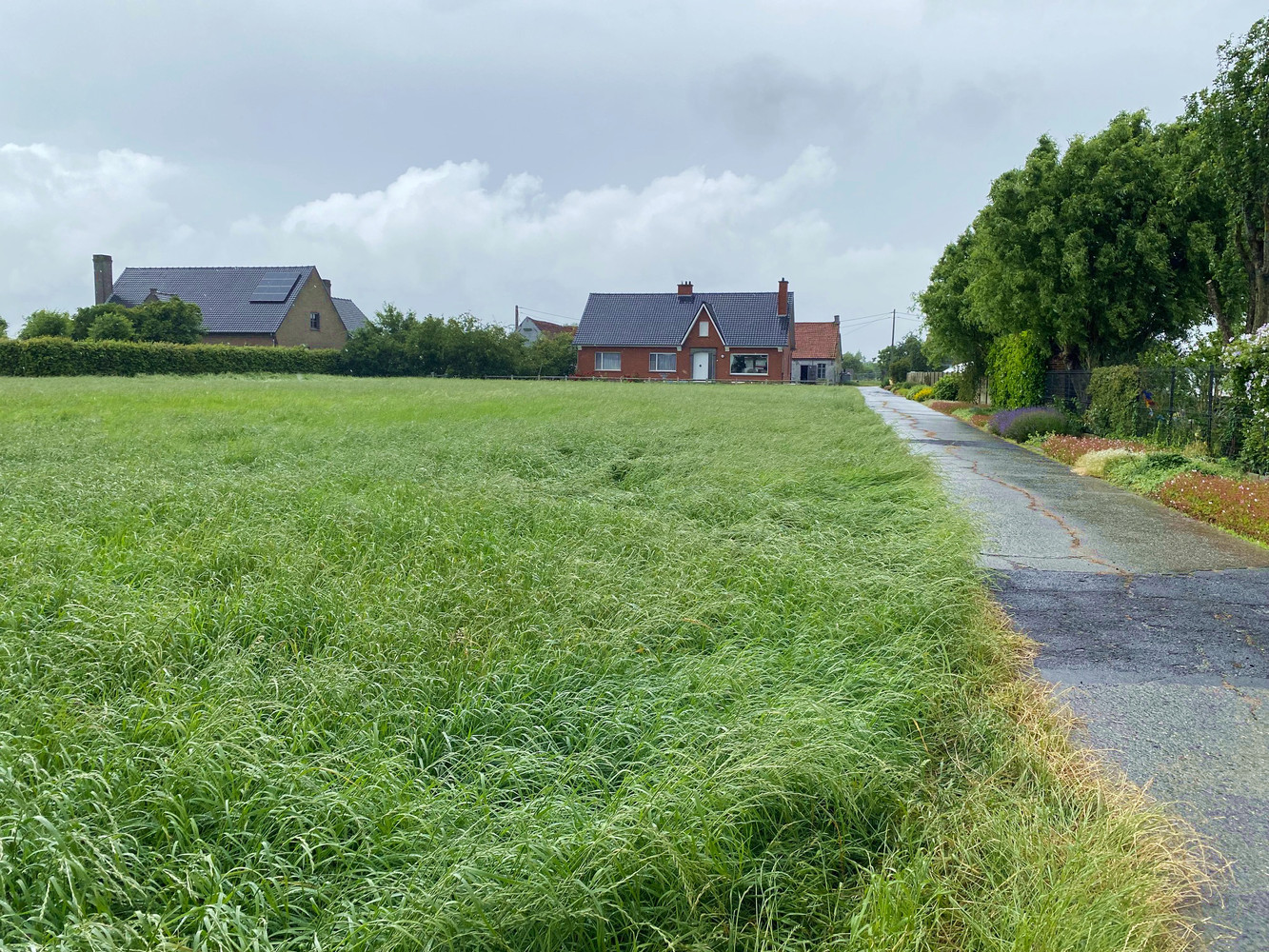 House for sale in Dentergem - photo 5