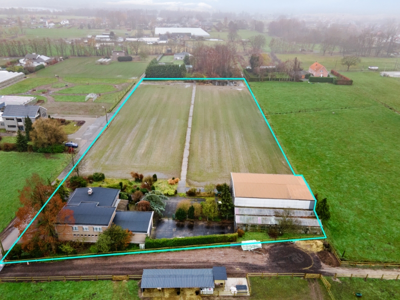 Zéér rustig & centraal gelegen (gewezen tuinbouwbedrijf) landhuis op 1,15 Ha met 4 SLK, garage, loods 250m2 & aanpalend weiland - foto 2