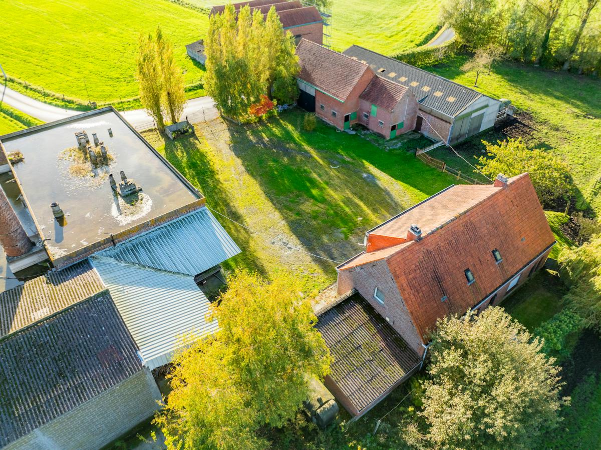 Fantastische roterij op de grens van Izegem en Lendelede  - foto 4