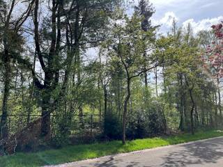 Terrain à vendre à Rijkevorsel