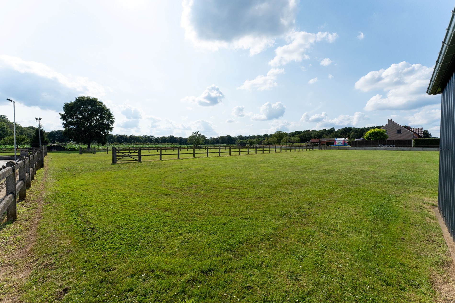 Landhuis met 8 stallen en piste op ca. 25747m2 te Heusden-Zolder. - foto 5