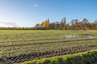 Mooi gelegen perceel landbouwgrond van 1ha 20a 10ca te Kalmthout langs Riethoek, "Nieuwmoersche Heyde"Kadaster: KALMTHOUT/2 AFD, Sectie C, Perceel N°...