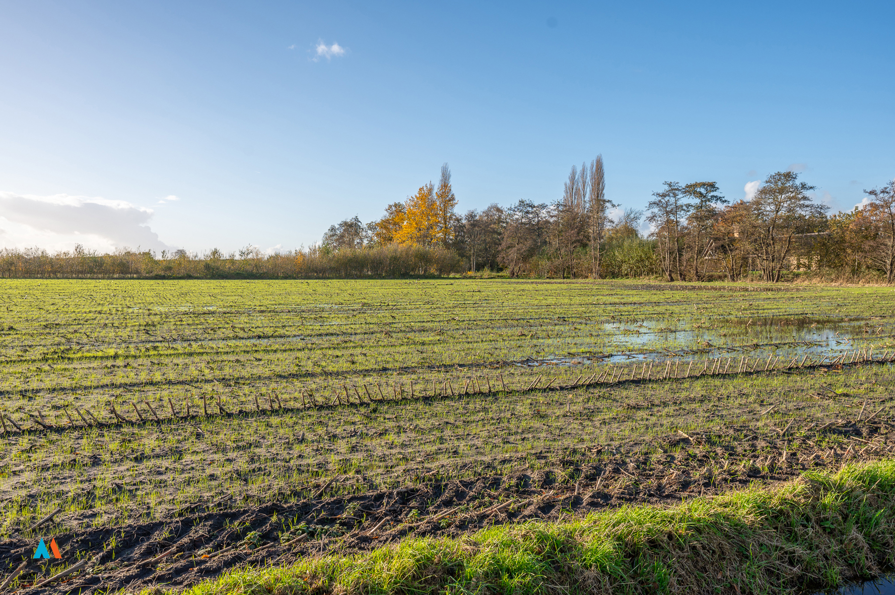 Perceel landbouwgrond - foto 2
