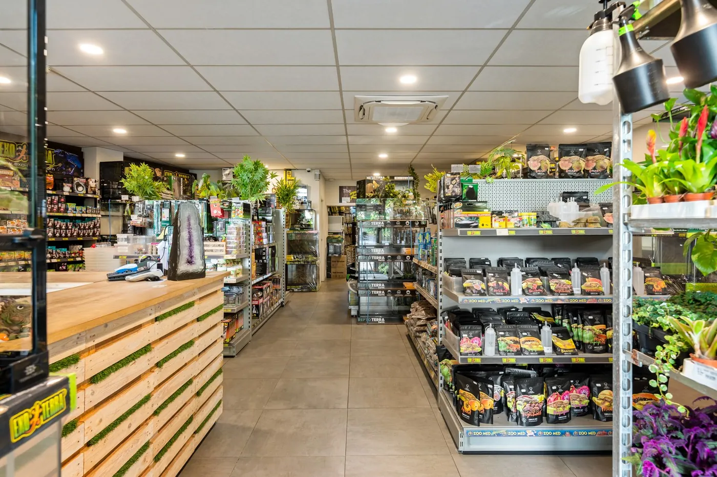 Commercial for sale in Kontich - photo 2