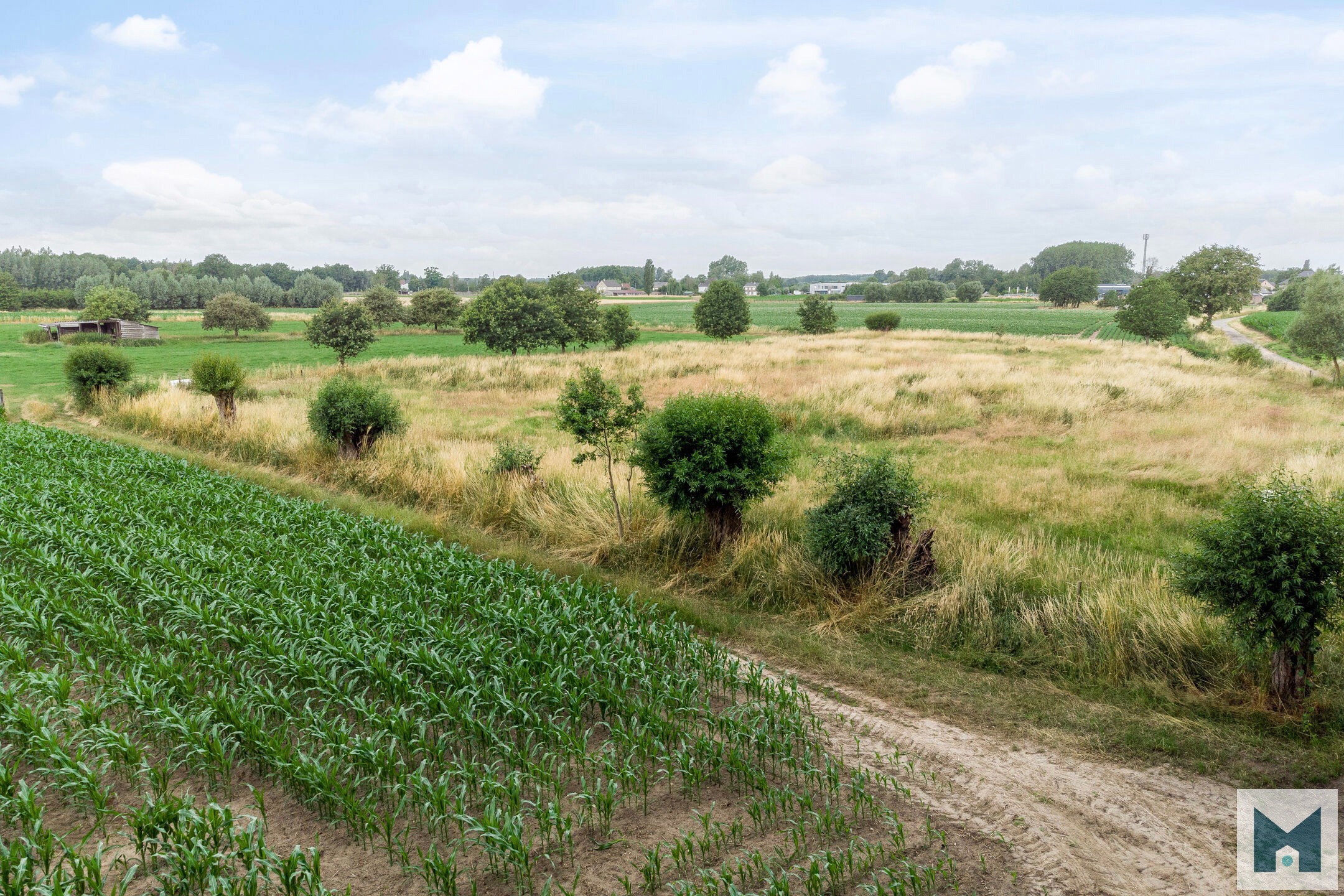 Prachtig weiland van maar liefst 1,864 hectare!  - foto 3