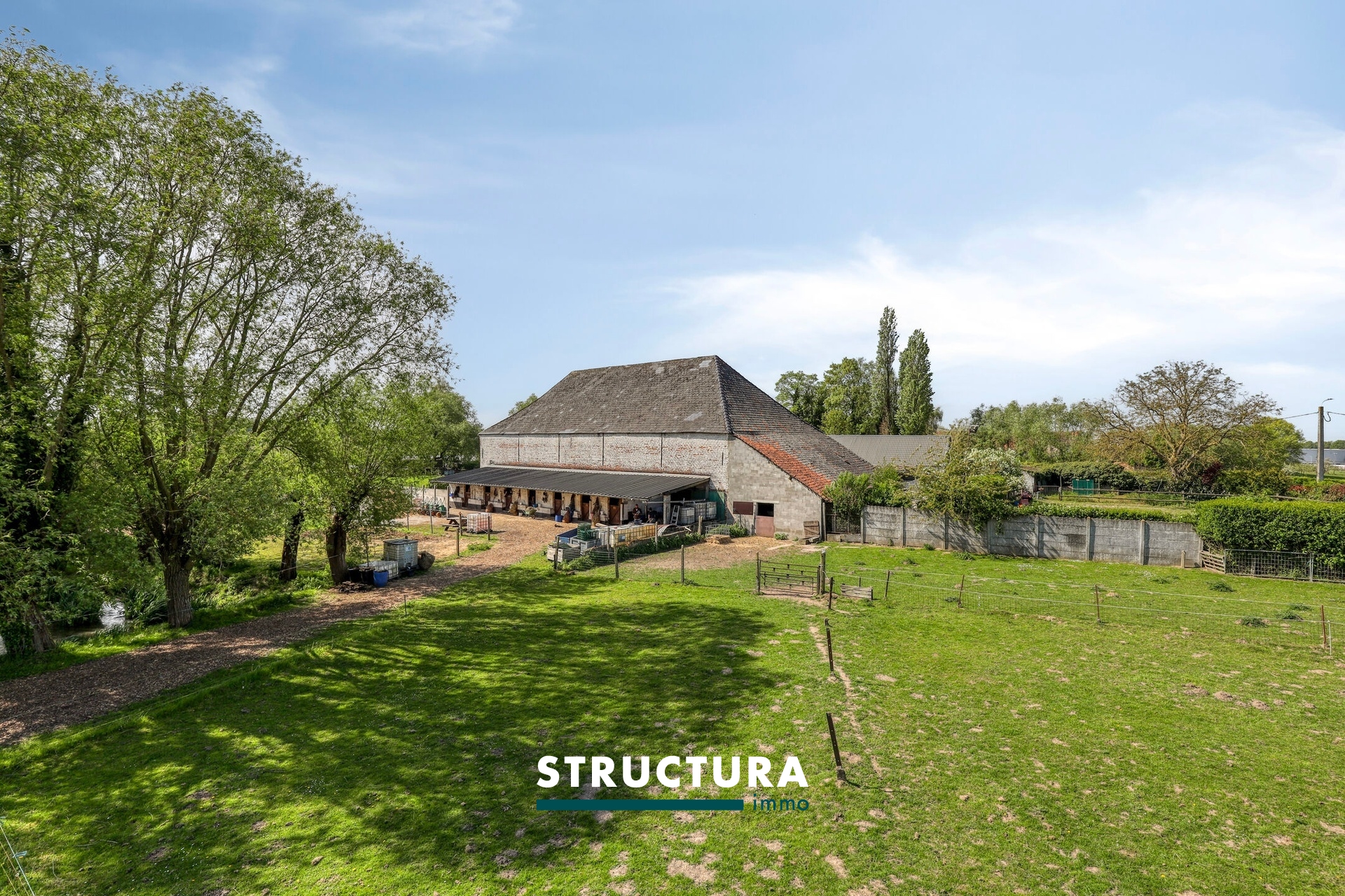 Hoeve met veel potentieel - foto 5