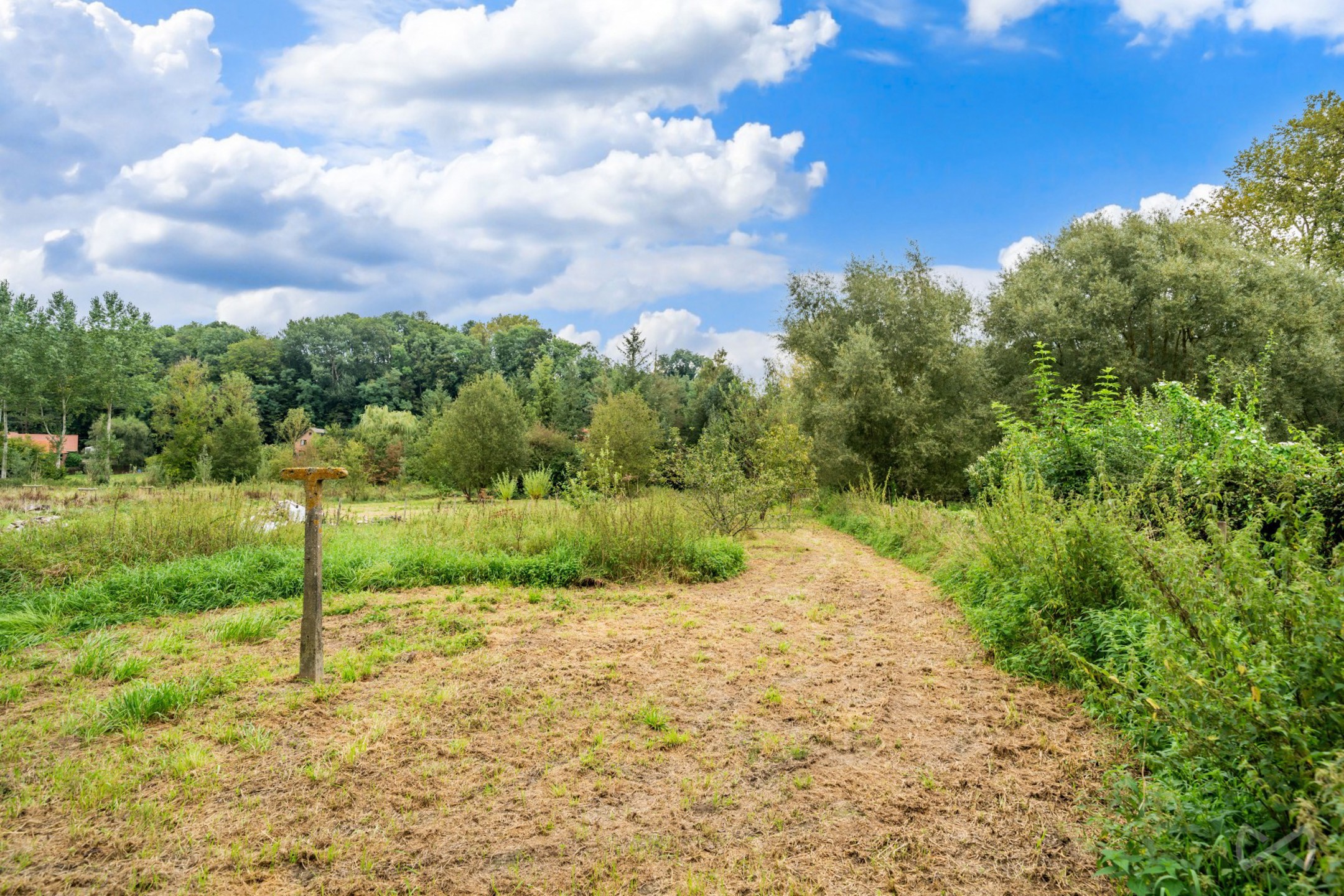 Terrain à vendre à Chaumont-Gistoux - photo 3