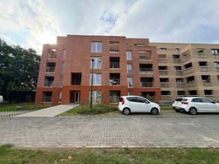 Appartement à louer à Maasmechelen