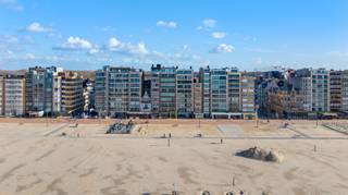 Ontdek dit gezellig gelijkvloerse appartement, ideaal gelegen op toplocatie aan de Zeedijk van De Panne. Hier geniet u dagelijks van een...