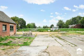 <p>Langs de bossen en velden gelegen woning aan de rand van Hamont. Rondom de woning is het schitterend wandelen in de natuur, bossen en velden zover als je kan kijken.</p>

<p> </p>

<p>Schitterend perceel van 1879m2. De woning heeft 6 slaapkamers en grote leefruimtes. De woning is door de jaren heen al op diverse punten aangepakt door de huidige eigenaars, maar dient door de koper nog gerenoveerd/opgefrist te worden. De woning wordt momenteel verhuurd aan correct betalende huurders. </p>

<p> </p>

<p><strong><u>Enkele troeven:</u></strong></p>

<ul><li>Rustige en groen omgeving dichtbij Hamont centrum</li><li>6 slaapkamers</li><li>Mits enkele kleine ingrepen, wordt er voldaan aan de renovatieverplichting</li><li>Groot perceel</li><li>Schitterend uitzicht aan zowel de voor- als achterzijde van de woning over de velden</li><li>Goede verbinding richting Nederlandse grens</li><li>Er ligt een groot natuurgebied tegenover de woning</li></ul>

<p>Indeling: zie bijgevoegde plannen</p>