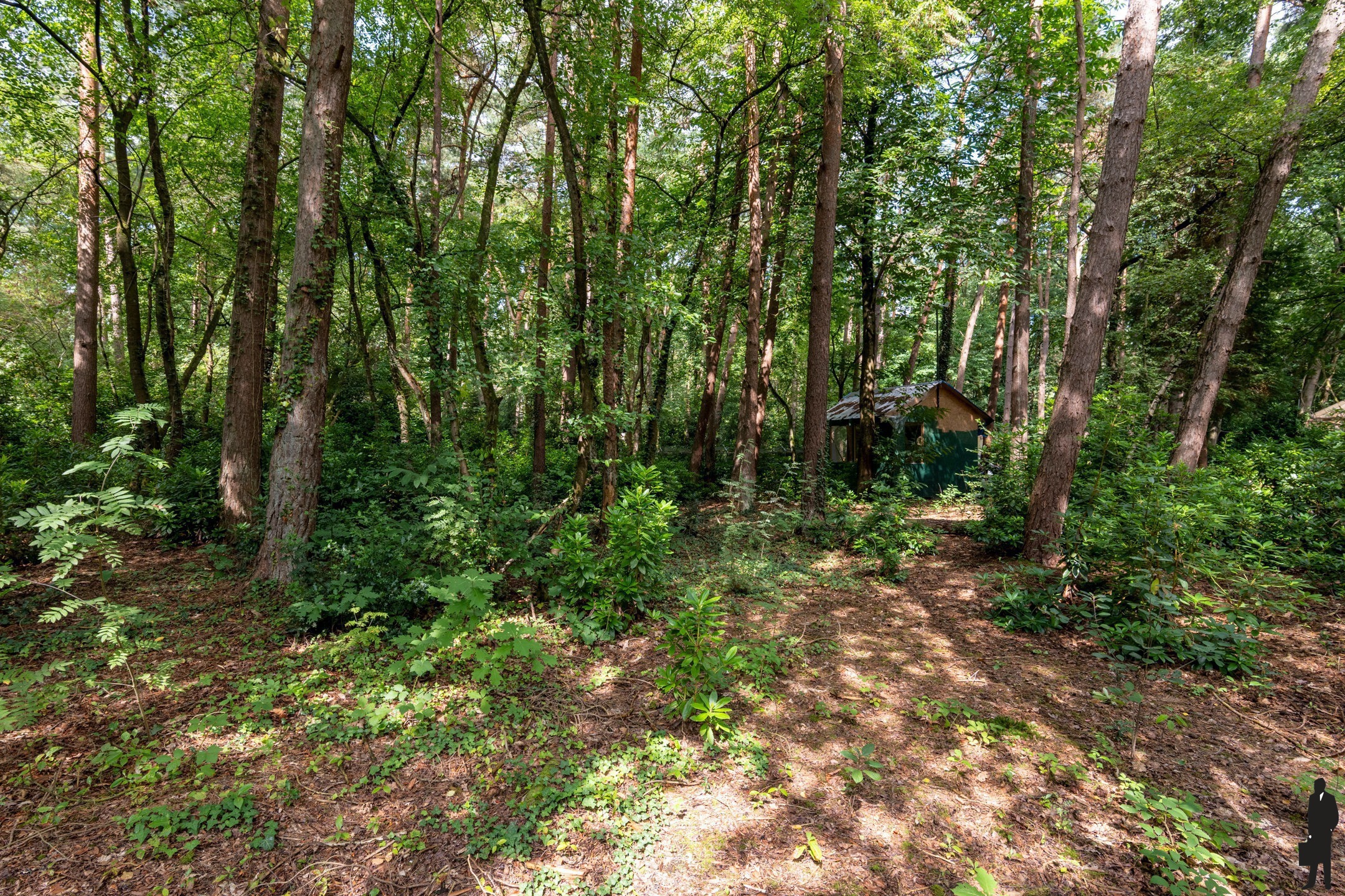 Bouwgrond met af te breken chalet - foto 2