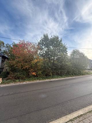 Droomt u ervan om uw eigen woning te bouwen, volledig afgestemd op uw wensen en behoeften? Dan is deze uitzonderlijk ruime bouwgrond in de Lunstraat te Houthalen-Helchteren misschien wel de perfecte opportuniteit om uw woondromen werkelijkheid te laten worden! 🤍<br /><br />📐 Met een indrukwekkende perceeloppervlakte van maar liefst 15a 81ca (1.581 m²) biedt dit perceel bijzonder veel ruimte en mogelijkheden. Hier krijgt u de kans om uw eigen woonproject vorm te geven en een thuis te creëren die perfect aansluit bij uw levensstijl. Denk aan een prachtige vrijstaande woning, een ruime tuin om heerlijk tot rust te komen en voldoende buitenruimte om gezellige momenten te beleven met familie en vrienden. 🌳☀️<br /><br />🏡 De geldende verkavelingsvoorschriften voorzien open bebouwing met een eengezinswoning als hoofdbestemming. Zo kunt u uw plannen verder uitwerken en uw toekomstige woning naar eigen smaak vormgeven, rekening houdend met de geldende voorschriften. Er zijn onder meer bouwmogelijkheden met een maximale bouwdiepte van 14 meter op het gelijkvloers en 10 meter op de verdieping, met maximaal twee bouwlagen onder de kroonlijst. Dit biedt interessante perspectieven voor wie droomt van een comfortabele en stijlvolle woning met een eigen karakter.<br /><br />📍 Naast de ruimte en de bouwmogelijkheden is ook de ligging een absolute troef. Scholen, winkels en het centrum bevinden zich in de nabije omgeving, waardoor u kunt genieten van een praktische en aangename woonomgeving. Of u nu op zoek bent naar een geschikte locatie voor uw toekomstige gezinswoning of een plek waar u uw eigen bouwplannen kunt realiseren, deze bouwgrond combineert ruimte met het comfort van voorzieningen dichtbij. 🛍️🎒<br /><br />🌿 De royale perceeloppervlakte biedt bovendien de mogelijkheid om wonen en buitenleven mooi met elkaar te combineren. Creëer uw eigen groene oase, geniet van lange zomeravonden in de tuin en geef uw toekomstige thuis helemaal vorm volgens uw persoonlijke wensen.<br /><br />✨ Bent u op zoek naar een ruime bouwgrond op een gunstige locatie om uw droomwoning te realiseren? Dan is deze grond in de Lunstraat zeker het ontdekken waard!<br /><br /><br /><br />Woongebied – geen bouwvergunning – geen rechterlijke herstelmaatregel of bestuurlijke maatregel opgelegd – geen voorkooprecht – verkavelingsvoorschriften<br /><br />O-peil: niet overstromingsgevoelig<br /><br />P- Score: A
