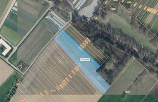 <p>Topo-Immo biedt deze landbouwgrond te koop aan in Roosdaal, gelegen aan de '<strong>Peerenbosch</strong>', met een totale oppervlakte van 7.470 m² (kadastraal gekend sectie E, nrs. 0265/00K000 & 0265/00L000 & 0265/00M000). Het perceel ligt in <strong>agrarisch gebied </strong>en is <strong>momenteel verpacht</strong>. Overstromingsgevoeligheid en-score is D, en het perceel maakt geen deel uit van een verkaveling of signaalgebied. Interesse of meer informatie? Neem gerust contact op met ons via het nummer 0477 289 144 of vincent@topo-immo.be! Stedenbouwkundige in lichtingen en maatregelenregister in aanvraag.</p>