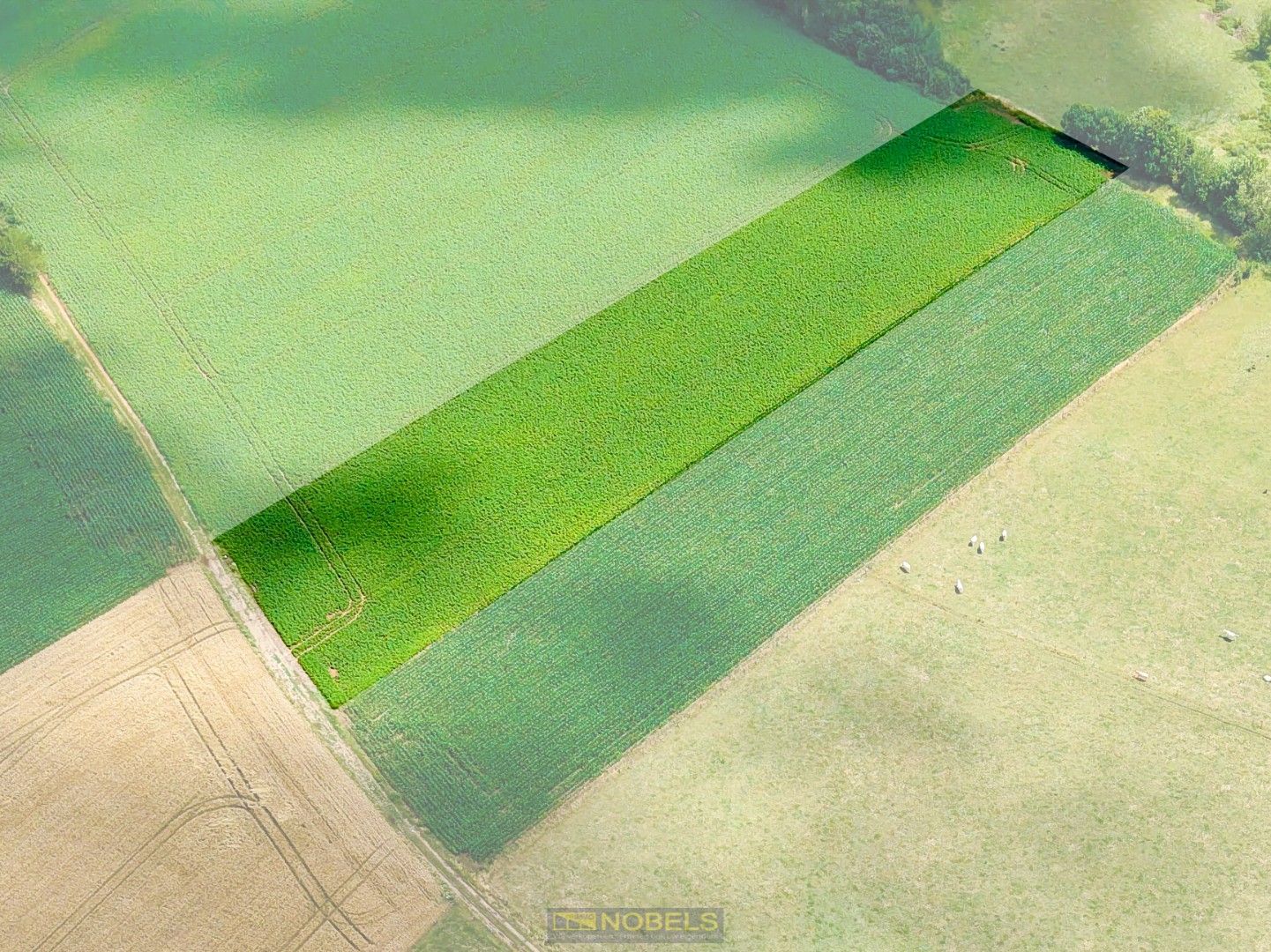 Te koop, perceel grond van 11.440m² te Maarkedal - photo 1