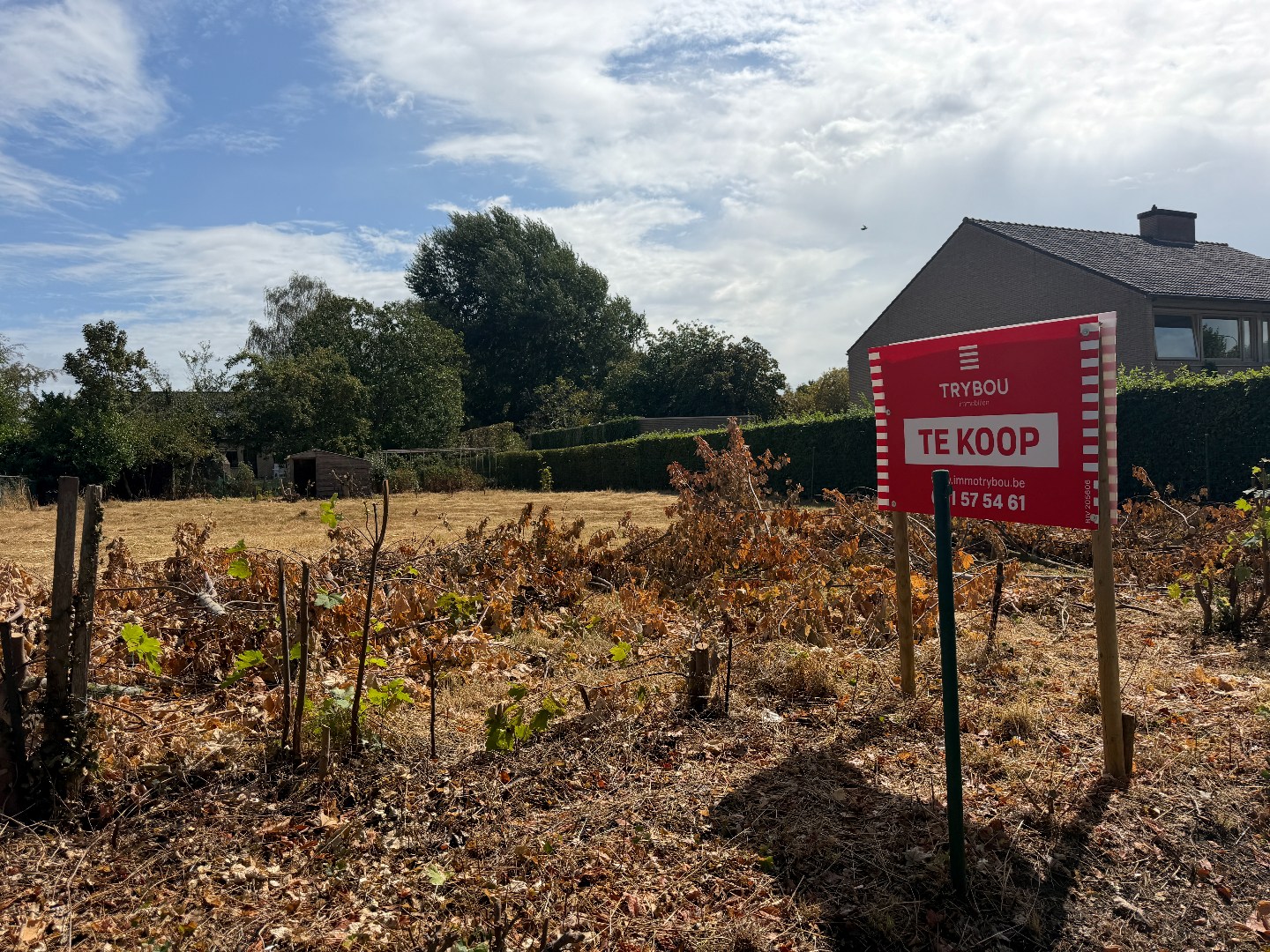 Land for sale in Diksmuide - photo 4