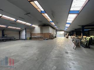Magazijnruimte met een oppervlakte van +/- 1.130 m² in combinatie met een kantoor van +/- 100 m² en een privatief buitenterrein van +/- 500 m²...