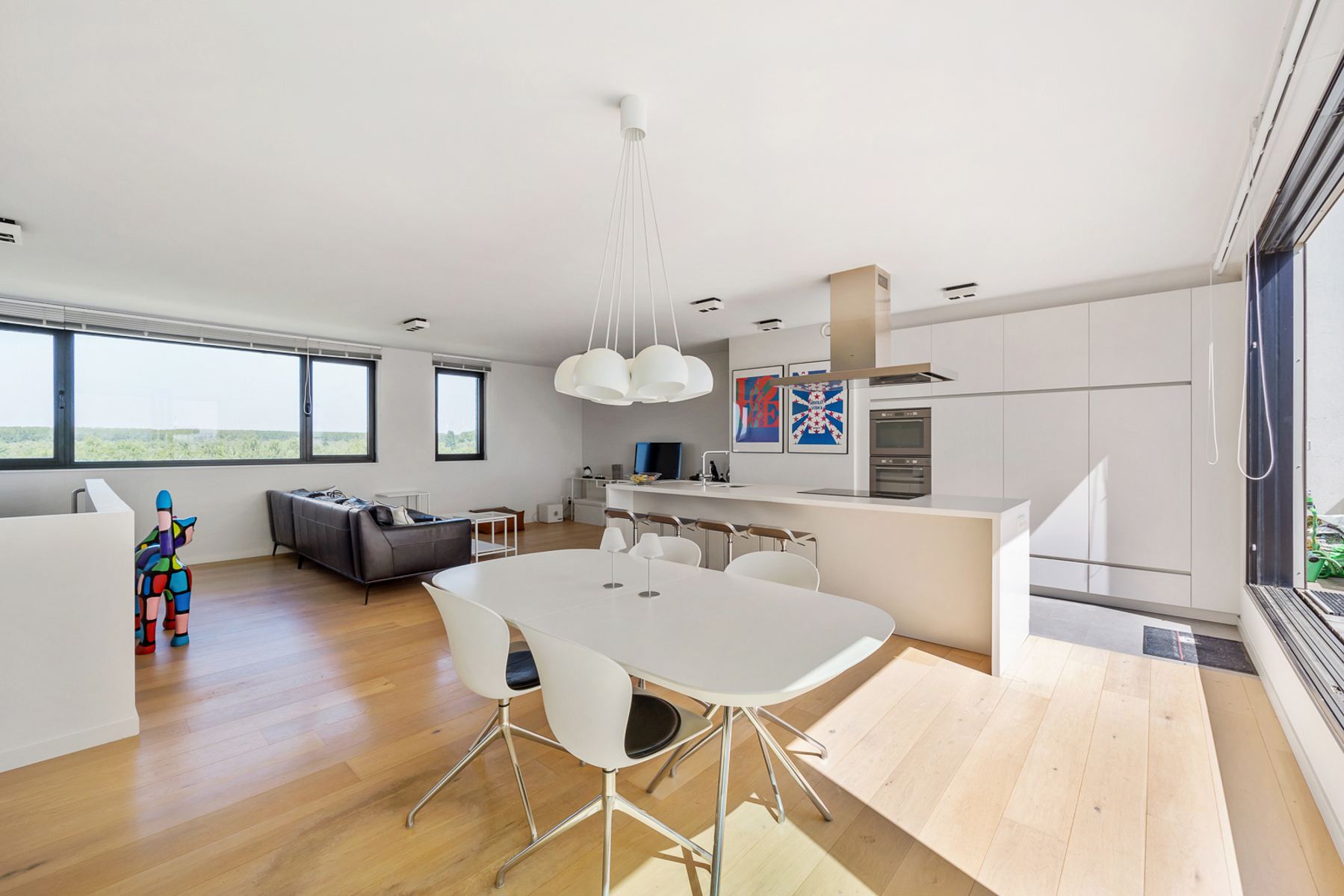 Energiezuinige duplex penthouse te Regatta - foto 5