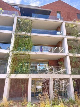 In Residentie Ursulinenhof, in het centrum van Hasselt, bevindt zich deze ruime assistentiewoning met een zuidoostgericht terras. Hier combineert u zelfstandig wonen met de mogelijkheid tot ondersteuning en dienstverlening binnen de residentie. Winkels, horeca, openbaar vervoer en dagelijkse voorzieningen liggen op wandelafstand.<br /><br />De woning werd gerealiseerd in 2015 en beschikt over een oppervlakte van circa 86 m². De praktische, toegankelijke indeling en de ruime lichtinval zorgen voor een aangename woonomgeving. De lichtrijke leefruimte sluit aan op een open, ingerichte keuken. Via de grote raampartijen bereikt u het terras, waar u geniet van een mooi uitzicht op de verzorgde binnentuin.<br /><br />Verder omvat de woning een ruime slaapkamer, een volledig uitgeruste en rolstoeltoegankelijke badkamer, een afzonderlijk gastentoilet en een praktische berging met wasruimte. Een privatieve kelderberging is inbegrepen in de verkoop. Daarnaast kunt u een autostaanplaats aankopen voor € 45.000.<br /><br />Ook op energetisch vlak biedt deze eigendom een mooie troef, met een EPC van 70 kWh/m². De elektrische installatie is conform.<br /><br />Dankzij de centrale ligging, de comfortabele indeling en de beschikbare dienstverlening is deze assistentiewoning een interessante keuze voor eigen bewoning. Ook voor investeerders die zorgvastgoed in het centrum van Hasselt zoeken, biedt dit pand mogelijkheden.<br /><br />Wilt u deze assistentiewoning zelf ontdekken? Contacteer Meyers Vastgoed voor meer informatie of een bezichtiging in Residentie Ursulinenhof.