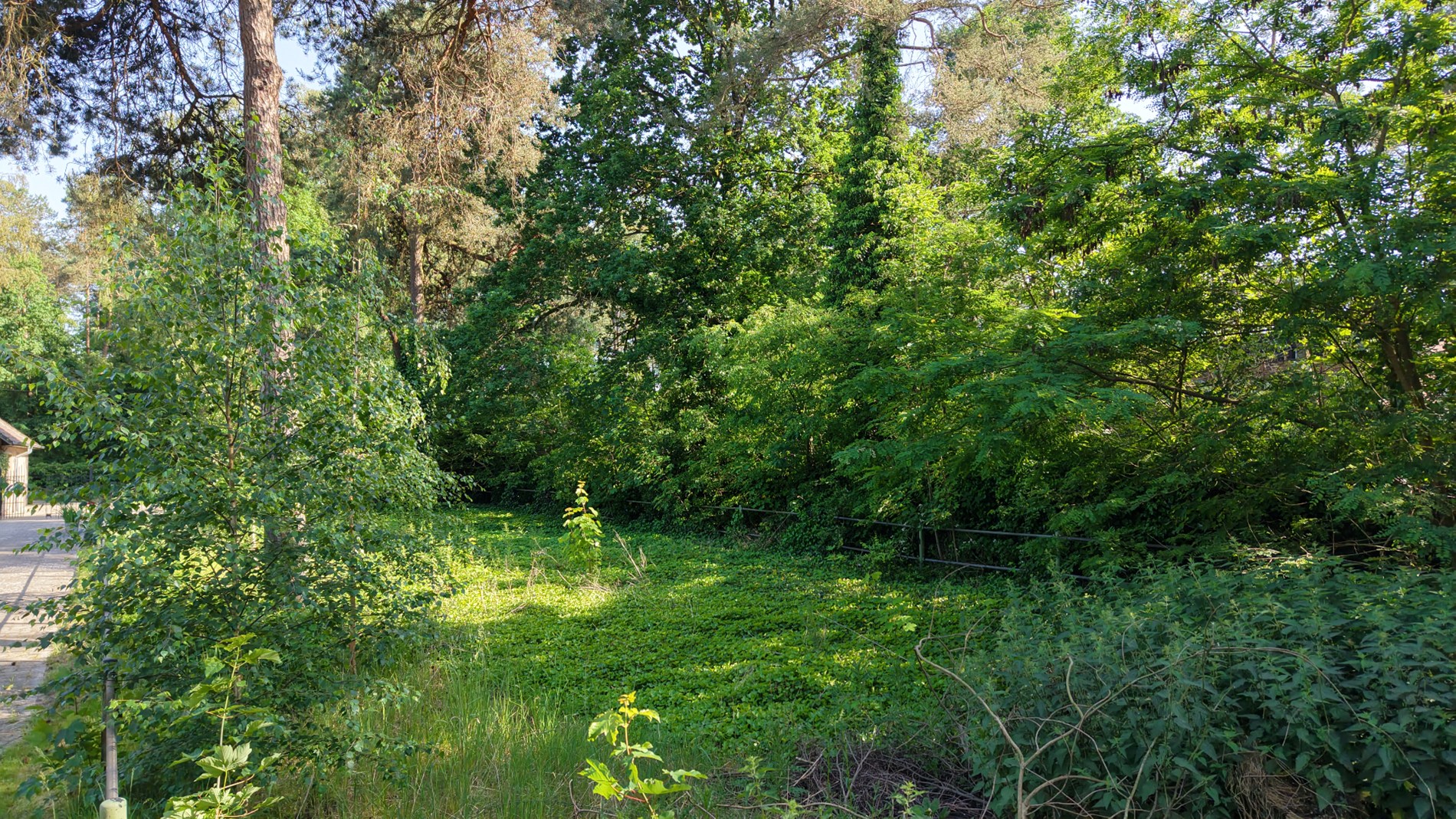 Terrain à vendre à Schilde - photo 5