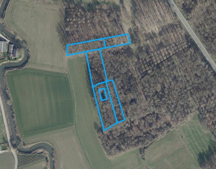 Percelen bos te Rotselaar. IN OPTIE! - foto 1