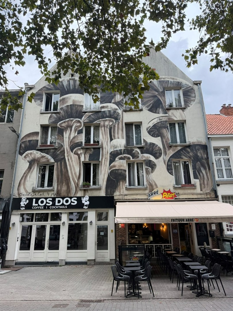 Commercial for rent in Antwerp