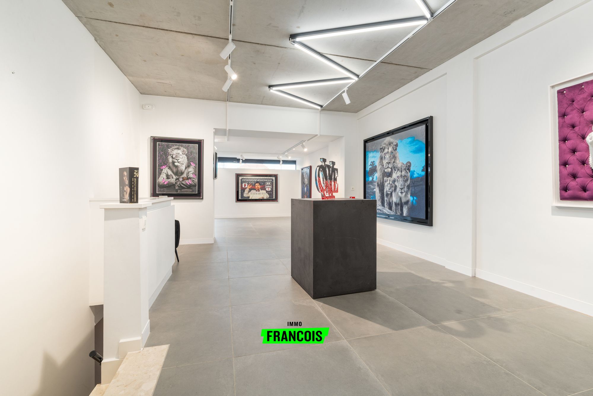 Modern handelspand met grote visibiliteit en parkeergelegenheid in centrum De Haan - foto 5