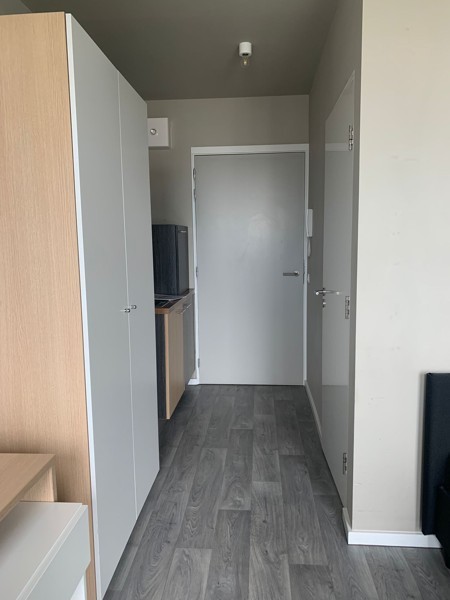 Instapklare Studentenkamer op Toplocatie in Antwerpen-Zuid - foto 2