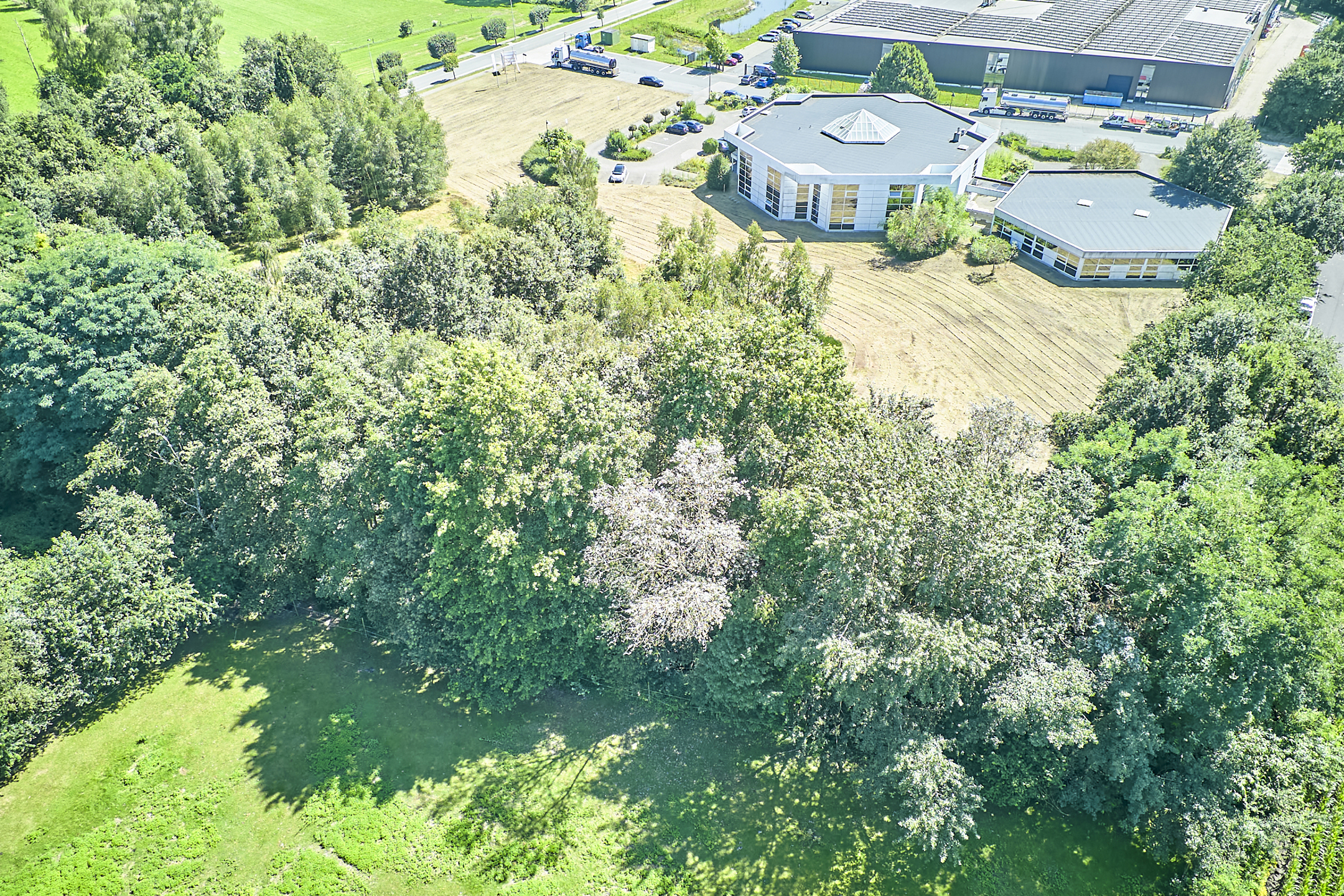 ONTWIKKELINGSGROND van 1.8 ha met kantoor - foto 4