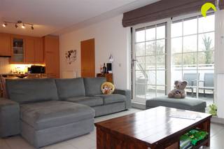 <p><span>Located on Kerkstraat in Rumst, this very bright duplex apartment is situated on the second floor. </span><span>There is no elevator in the building.</span></p><p><span>Despite its quiet location, it offers excellent access to Antwerp and Brussels thanks to its close proximity to the E19. </span></p><p><span> </span></p><p><span>Layout</span></p><p><span>From the common entry hall, we take the stairs to the second floor, where we enter the apartment into a hallway with a separate toilet. We step into the living area (40 m²) with access to a cozy south-facing terrace (9 m²) with bankirai decking and a beautiful view of the greenery! Adjacent to this is the kitchen, equipped with cabinets and appliances (ceramic cooktop, range hood, oven, and refrigerator with freezer compartment), as well as a separate storage room that includes connections for a washing machine and dryer. </span></p><p><span> </span></p><p><span>There is also a well-maintained and bright bathroom with a window, featuring a bathtub with a shower screen, a sink, and a mirror cabinet. </span></p><p><span> </span></p><p><span>The apartment has three bedrooms. The master bedroom (13 m²) is located on the ground floor of the duplex. A spiral staircase leads to the second floor, where the other two bedrooms are located. Adjacent to one of these bedrooms is a convenient storage room/walk-in closet. In addition, there is an extra room equipped with a shower and sink that can be used as a second bathroom or shower room. </span></p><p><span> </span></p><p><span>Useful information:</span></p><ul><li><span>Monthly fees: € 50 (maintenance of common areas, meter reading)</span></li><li><span>Rental deposit: 3 months</span></li><li><span>Inventory fee: € 225 (per party)</span></li><li><span>Available: December 1, 2026.</span></li><li><span>EPC: 182 kWh/m²</span></li></ul><p><span> </span></p><p><span>SCHEDULE YOUR OWN APPOINTMENT NOW USING OUR ONLINE MODULE</span></p><p><span>Go to the property listing on our website <span>www.habicom.be</span></span><span> and then click the pink button</span><span> “ '” to schedule a visit'.</span></p><p><span> </span></p>