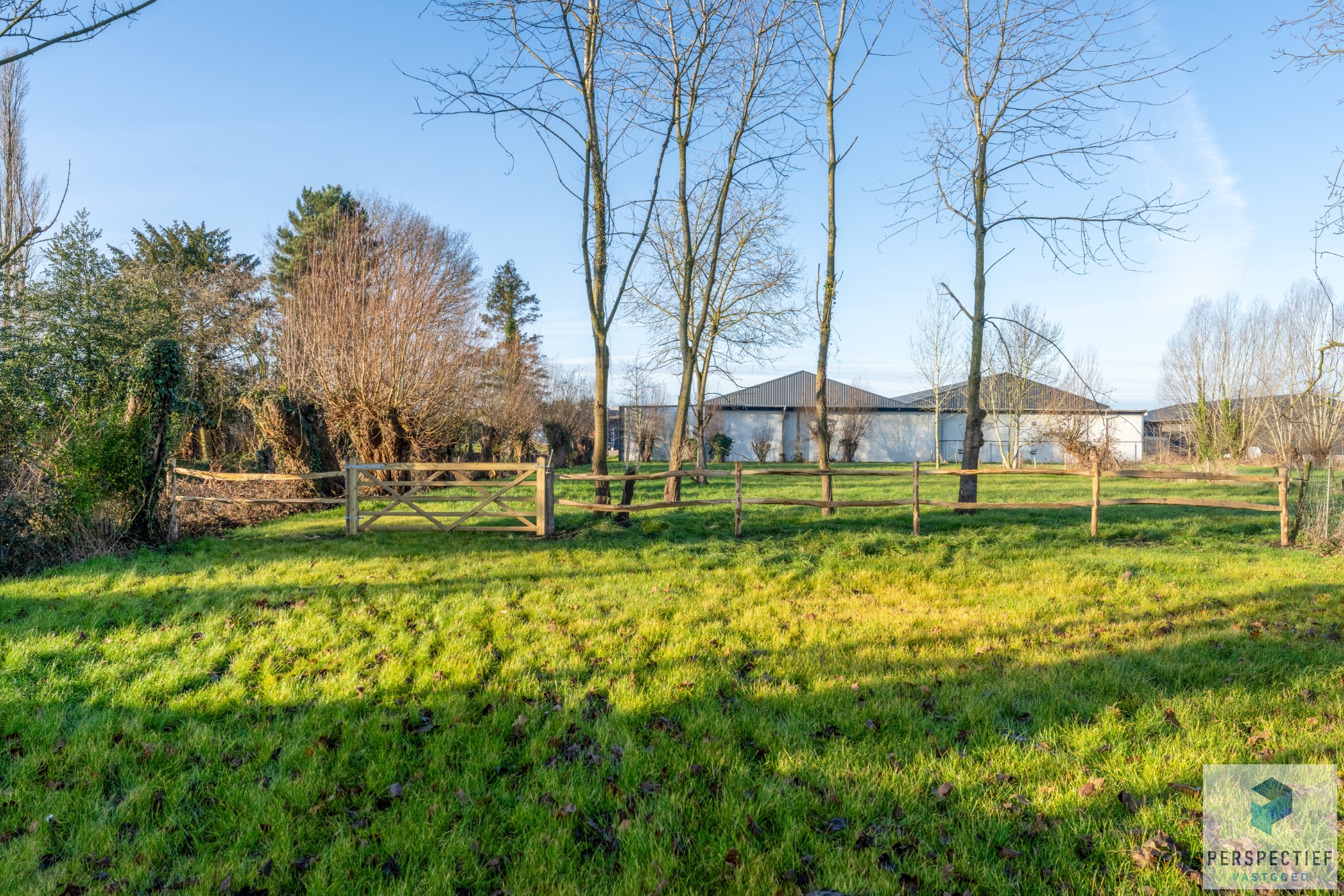 Maison à vendre à Maldegem avec 4 chambres - photo 2