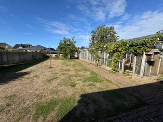 <p>Deze <strong>zeer ruime open bebouwing</strong> uit <strong>1963</strong> bevindt zich op een mooi perceel van <strong>835 m²</strong> en biedt een <strong>bewoonbare oppervlakte van maar liefst 230 m²</strong>. De woning is ideaal voor wie op zoek is naar een solide basis met veel ruimte, een grote tuin en diverse uitbreidingsmogelijkheden.</p>
<p><strong>Indeling & ruimtes</strong></p>
<p><strong>Gelijkvloers</strong></p>
<ul>
<li>Inkomhal</li>
<li>Grote woonkamer met eetplaats</li>
<li>Keuken</li>
<li>Wasplaats/berging</li>
<li>Veranda met prachtig zicht op de tuin</li>
<li>Inpandige garage</li>
<li>Kelder</li>
</ul>
<p><strong>Verdieping</strong></p>
<ul>
<li>4 volwaardige slaapkamers</li>
<li>Badkamer</li>
<li>Ruime zolderverdieping</li>
</ul>
<p><strong>Buiten</strong></p>
<ul>
<li>Zeer ruime tuin</li>
<li>Grote serre</li>
<li>Extra werkplaats achteraan in de tuin</li>
</ul>
<p><strong>Comfort & staat van de woning</strong></p>
<p>De woning beschikt over <strong>gedeeltelijk dubbel glas en enkel glas</strong>. Renovatie is aangewezen op vlak van <strong>isolatie (dak, muren, ramen)</strong>, wat meteen de kans biedt om de woning energetisch te optimaliseren en volledig naar eigen smaak te moderniseren.</p>
<p><strong>Troeven</strong></p>
<ul>
<li>Zeer ruime woning met 220 m² bewoonbare oppervlakte</li>
<li>Groot perceel van 835 m²</li>
<li>4 volwaardige slaapkamers</li>
<li>Veranda met tuinzicht</li>
<li>Serre én aparte werkplaats</li>
<li>Inpandige garage + kelder</li>
<li>Structuur in goede staat, ideaal voor renovatieproject</li>
<li>Veel potentieel voor gezinnen, hobbyisten of wie ruimte zoekt</li>
</ul>
<p></p>