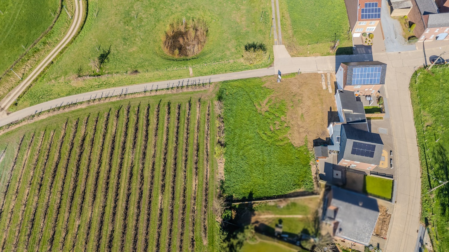 Zeer mooie bouwgrond gelegen op een toplocatie in Bilzen-Hoeselt. - foto 4