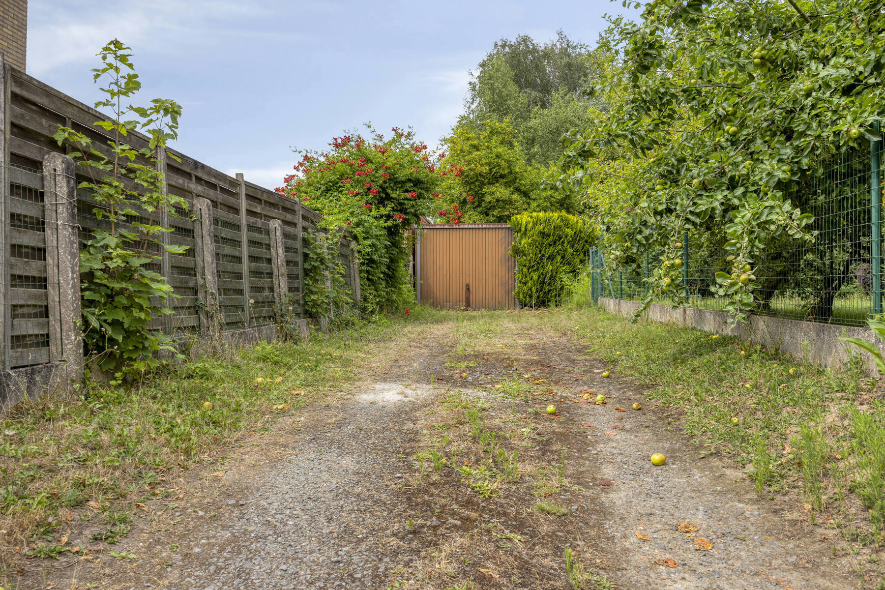 Goedgelegen bouwgrond voor driegevel woning - foto 5