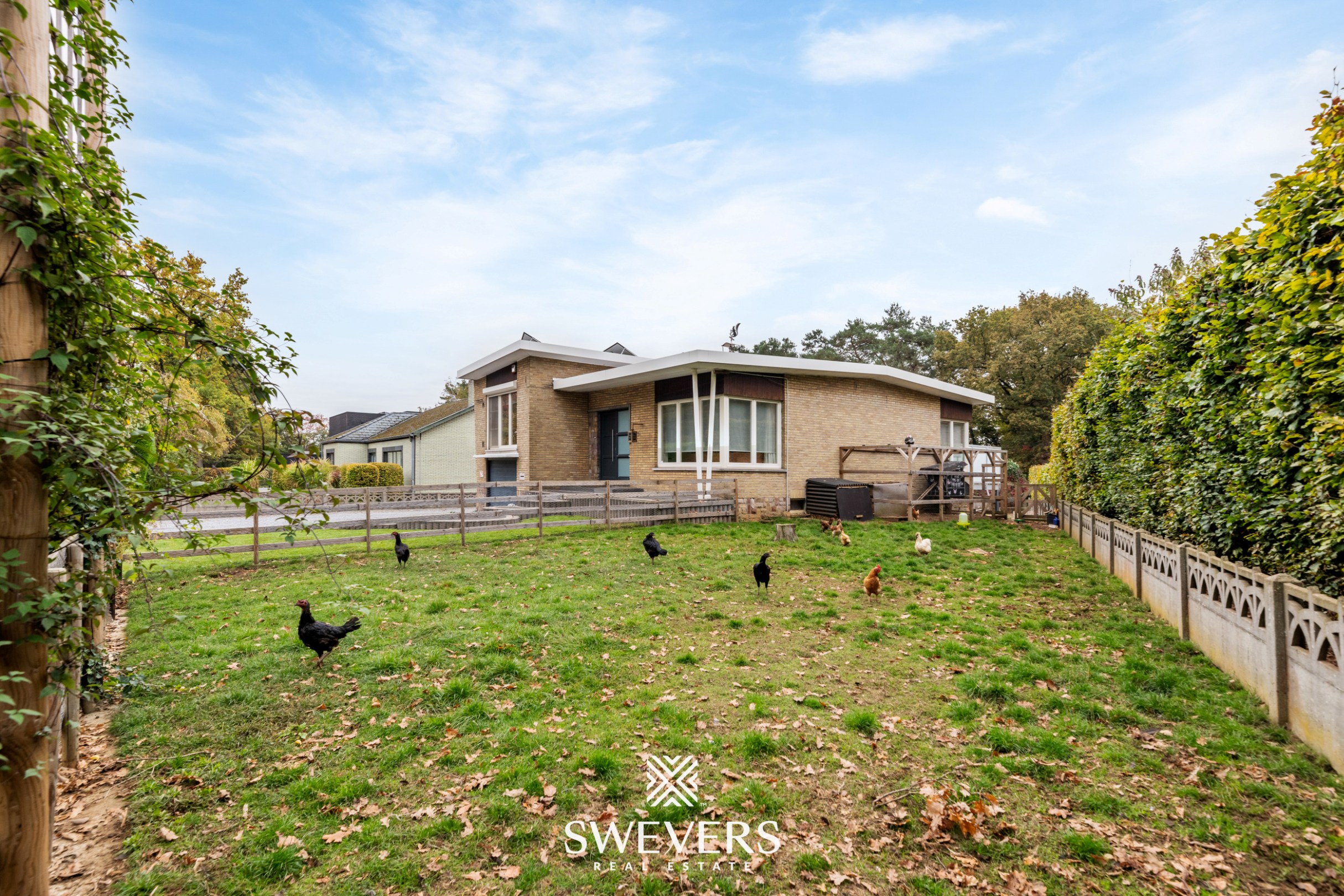 Instapklare gezinswoning met 3 slaapkamers, ruime kelder en zuidgerichte tuin in Beringen - foto 2