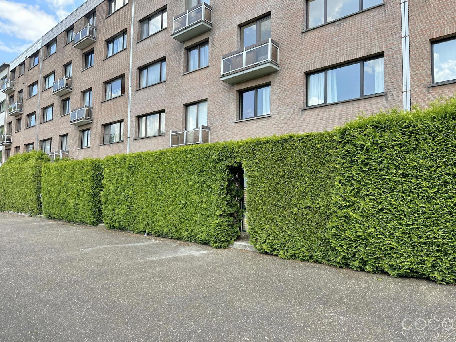 Gelijkvloersappartement met 2 slaapkamers en een tuintje in het centrum - foto 3