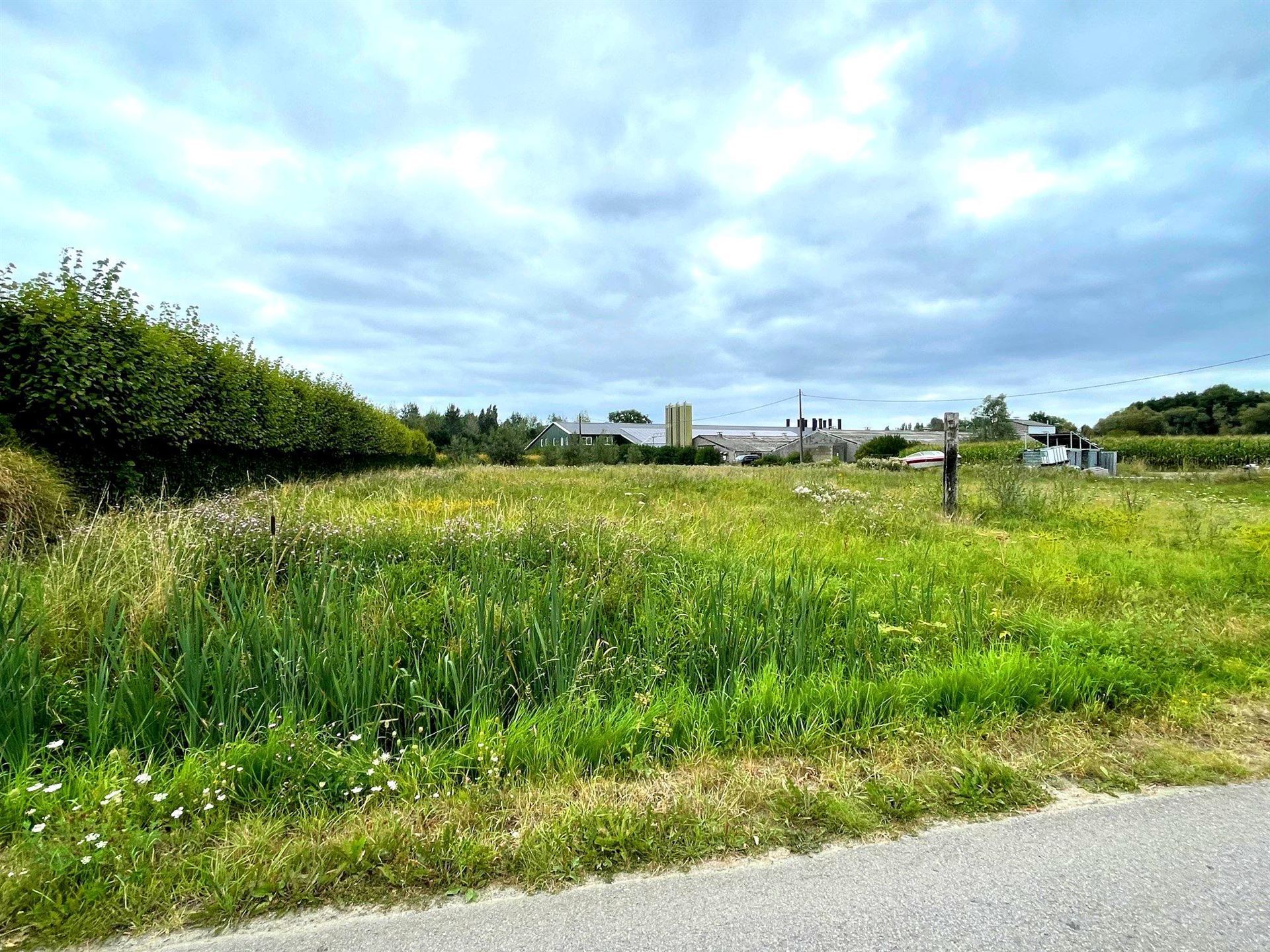 Land for sale in Breendonk - photo 2