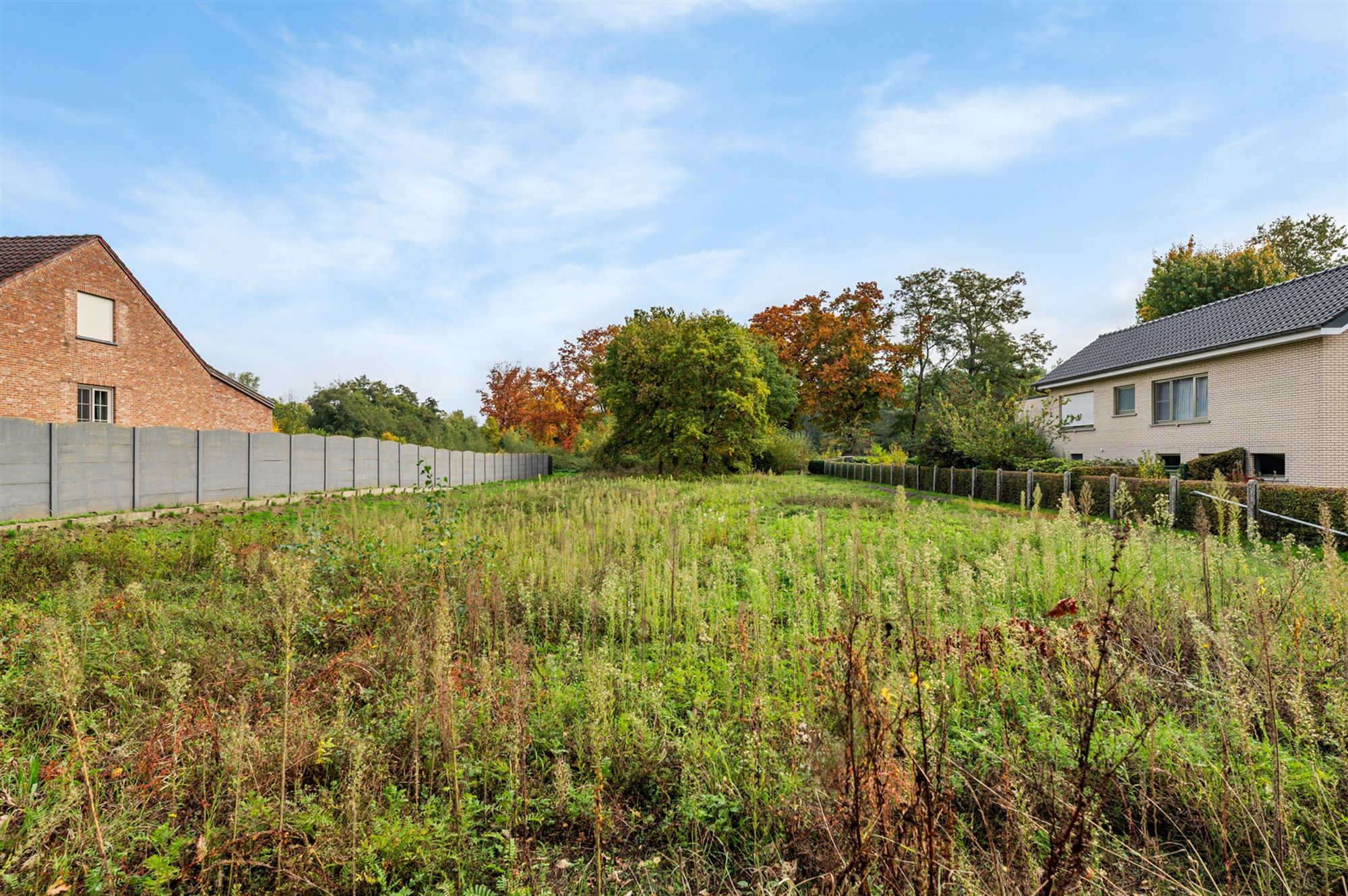 NIEUWBOUWWONING OP 1380M2 TEGEN NATUURGEBIED! - foto 3