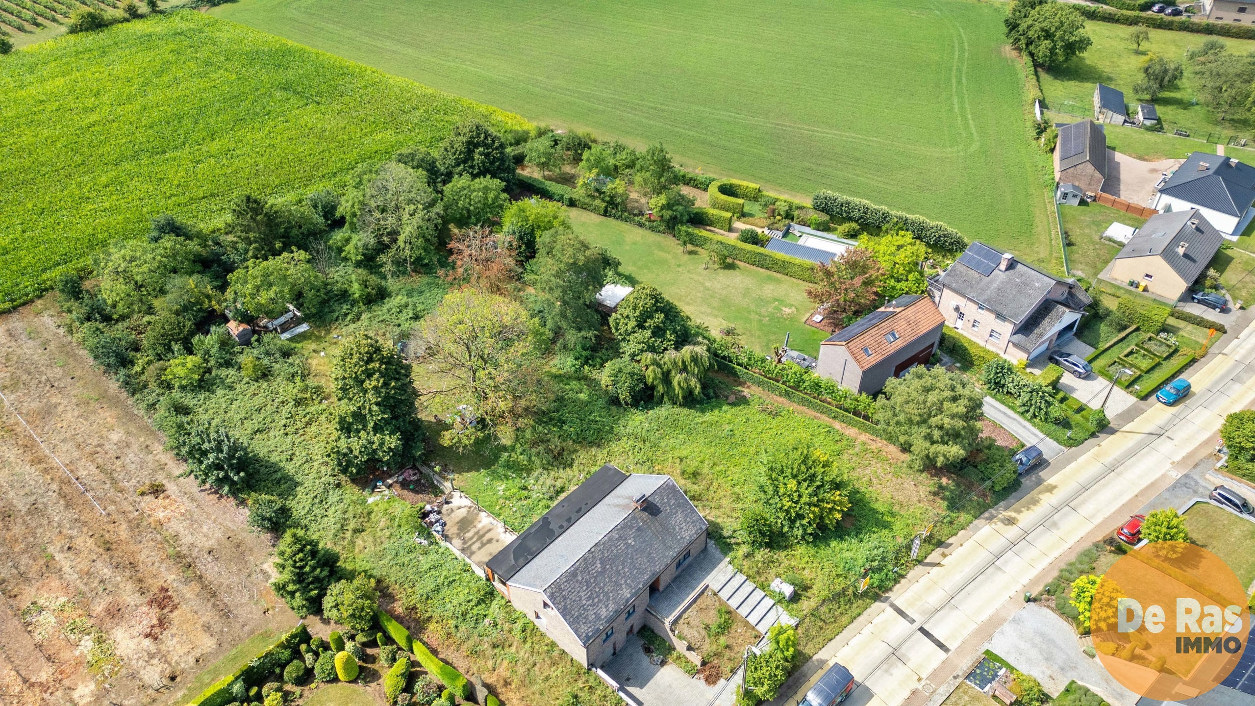 BEKKEVOORT - Prachtige zuidgerichte bouwgrond (7a 51ca) - foto 5